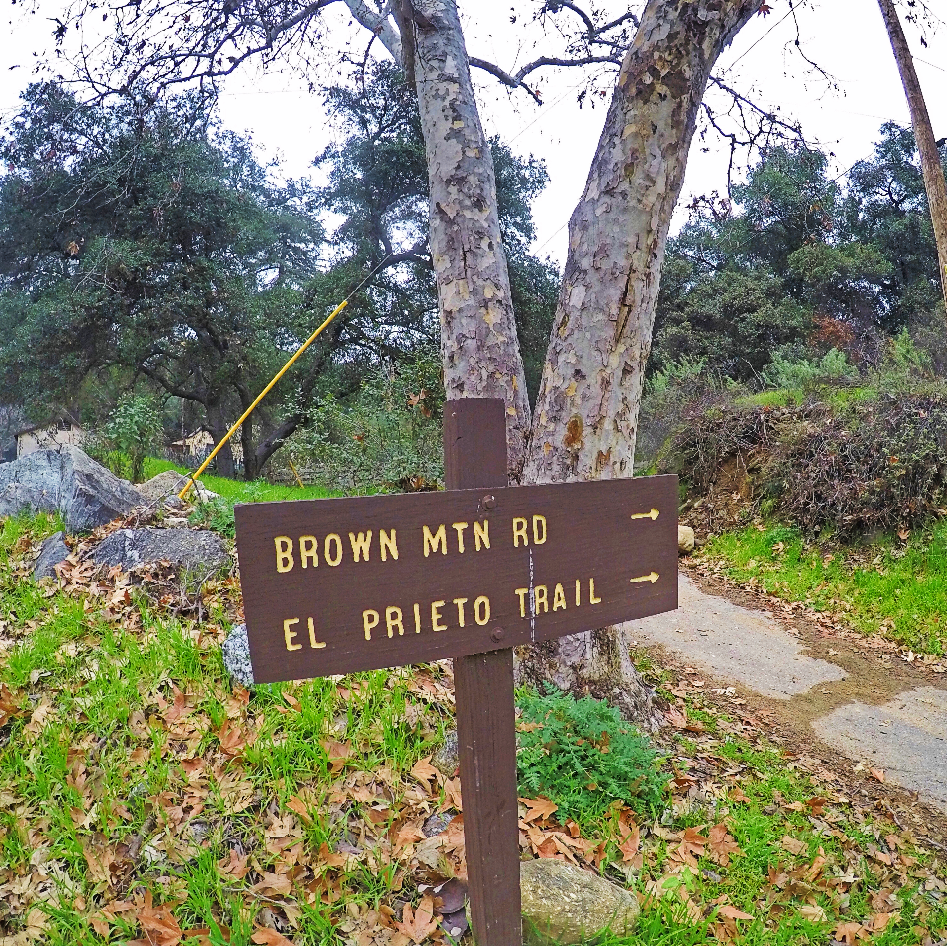 El Prieto Trail